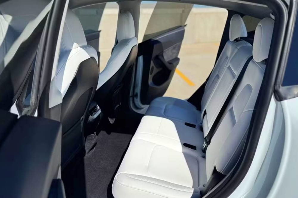 Tesla Rental 11