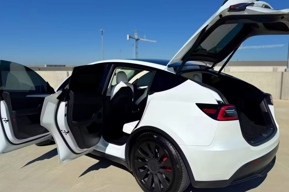 Tesla Rental 14