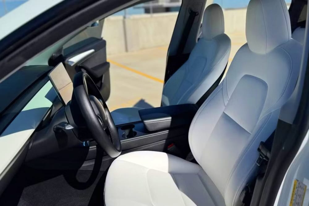 Tesla Rental 17
